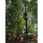 Kletterpark.jpg
